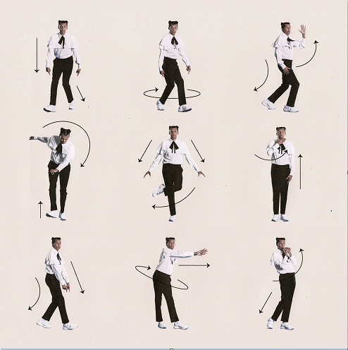 Exploiter une chanson FLE – La chanson satirique (C1-C2), Stromae
